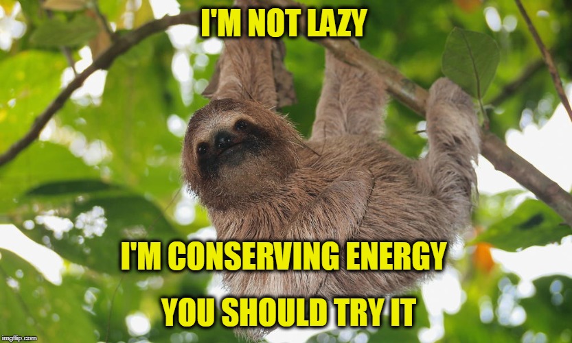 What's Your Hurry? | I'M NOT LAZY; I'M CONSERVING ENERGY; YOU SHOULD TRY IT | image tagged in sloth | made w/ Imgflip meme maker