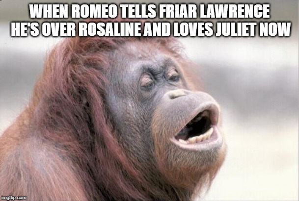 Monkey OOH Meme | WHEN ROMEO TELLS FRIAR LAWRENCE HE'S OVER ROSALINE AND LOVES JULIET NOW | image tagged in memes,monkey ooh | made w/ Imgflip meme maker