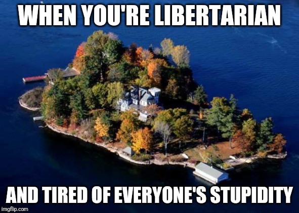 Dream island home | WHEN YOU'RE LIBERTARIAN; AND TIRED OF EVERYONE'S STUPIDITY | image tagged in dream island home | made w/ Imgflip meme maker