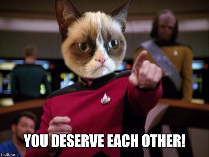 YOU DESERVE EACH OTHER! | image tagged in grumpy cat picard | made w/ Imgflip meme maker