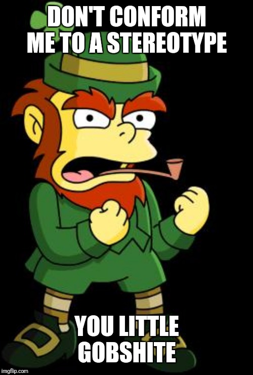 mean leprechaun | DON'T CONFORM ME TO A STEREOTYPE YOU LITTLE GOBSHITE | image tagged in mean leprechaun | made w/ Imgflip meme maker