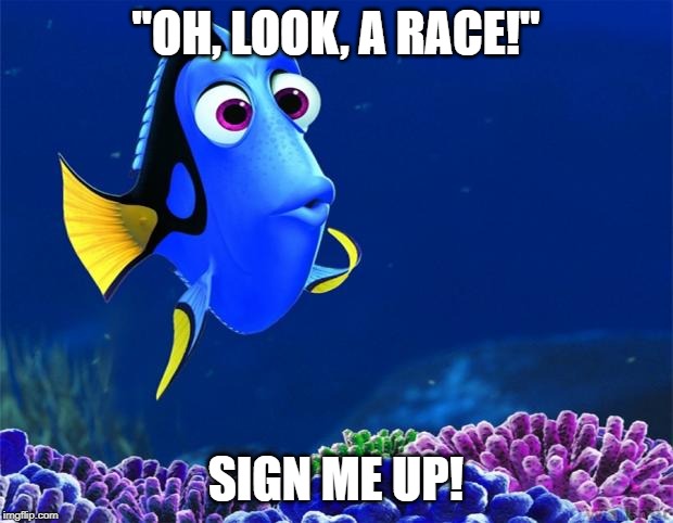 Dory | "OH, LOOK, A RACE!"; SIGN ME UP! | image tagged in dory | made w/ Imgflip meme maker