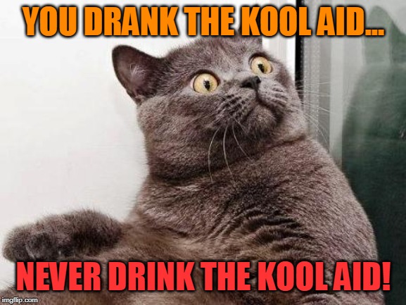Surprised cat | YOU DRANK THE KOOL AID... NEVER DRINK THE KOOL AID! | image tagged in surprised cat | made w/ Imgflip meme maker