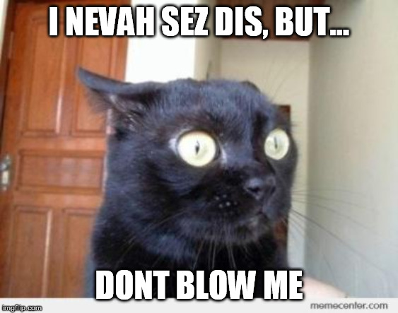 Scared Cat | I NEVAH SEZ DIS, BUT... DONT BLOW ME | image tagged in scared cat | made w/ Imgflip meme maker