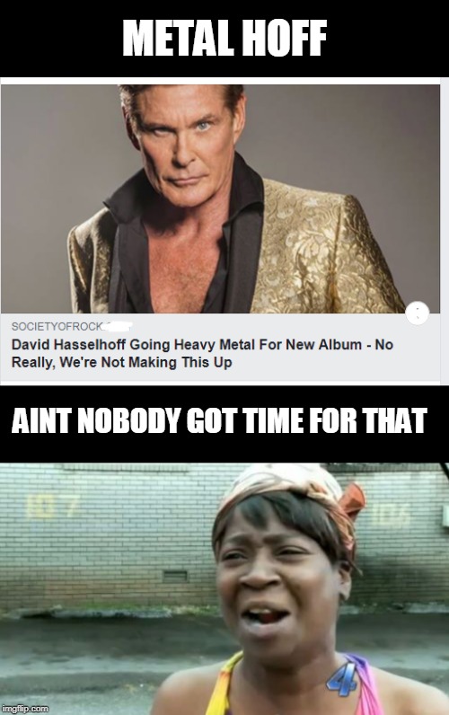 METAL HOFF; AINT NOBODY GOT TIME FOR THAT | image tagged in memes,aint nobody got time for that,david hasselhoff | made w/ Imgflip meme maker