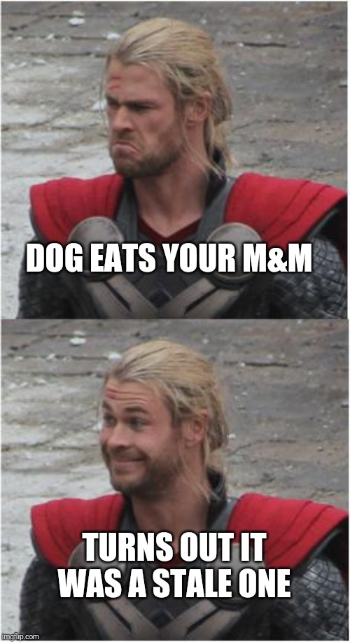 Thor Sad Then Happy | DOG EATS YOUR M&M TURNS OUT IT WAS A STALE ONE | image tagged in thor sad then happy | made w/ Imgflip meme maker