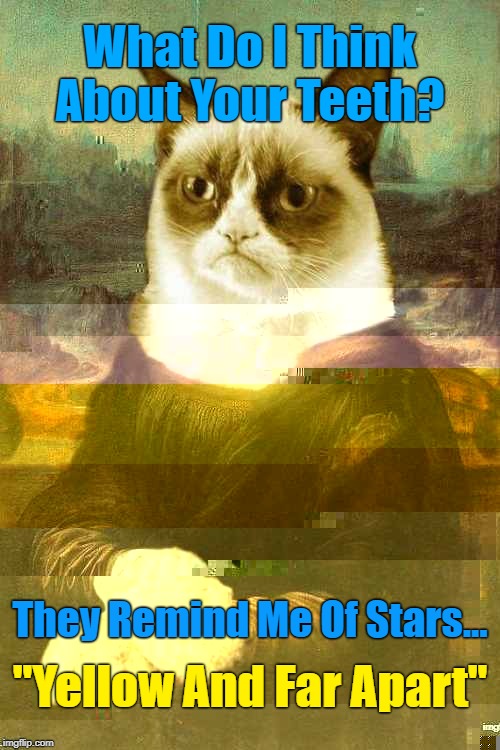 "Don't Ask If You Can't Handle Tardar's Answer" ¯\_(ツ)_/¯ Glitch Week™ | What Do I Think About Your Teeth? They Remind Me Of Stars... "Yellow And Far Apart" | image tagged in memes,grumpy cat,glitch,glitch week,grumpy cat insults,mona lisa | made w/ Imgflip meme maker