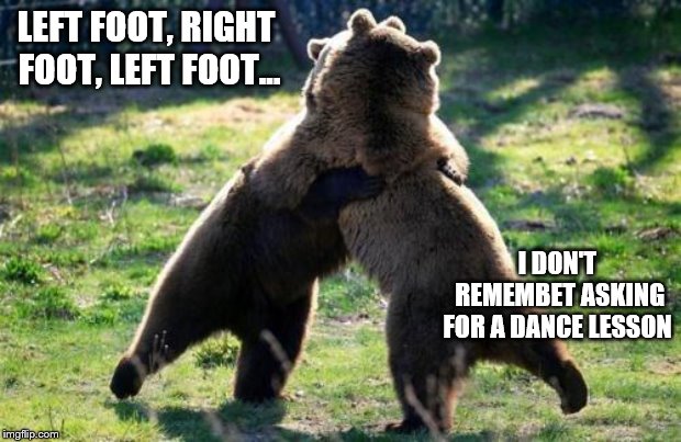 Bears. Just Bears. | LEFT FOOT, RIGHT FOOT, LEFT FOOT... I DON'T REMEMBET ASKING FOR A DANCE LESSON | image tagged in bearhug,dance,what,weird,bear,idk | made w/ Imgflip meme maker