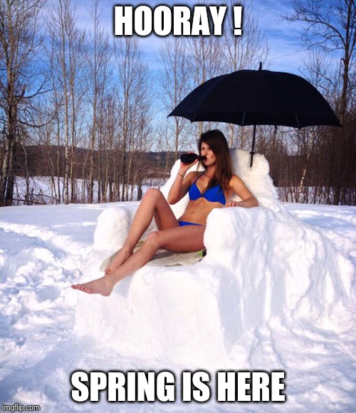 Sun bathing | HOORAY ! SPRING IS HERE | image tagged in sun bathing | made w/ Imgflip meme maker