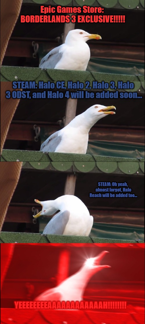 Inhaling Seagull | Epic Games Store: BORDERLANDS 3 EXCLUSIVE!!!!! STEAM: Halo CE, Halo 2, Halo 3, Halo 3 ODST, and Halo 4 will be added soon... STEAM: Oh yeah, almost forgot, Halo Reach will be added too... YEEEEEEEEAAAAAAAAAAAAH!!!!!!!! | image tagged in memes,inhaling seagull | made w/ Imgflip meme maker