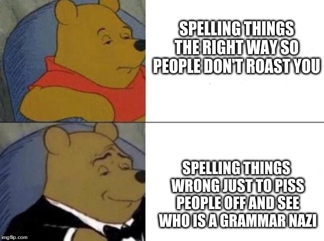 Tuxedo Winnie The Pooh Meme | SPELLING THINGS THE RIGHT WAY SO PEOPLE DON'T ROAST YOU; SPELLING THINGS WRONG JUST TO PISS PEOPLE OFF AND SEE WHO IS A GRAMMAR NAZI | image tagged in tuxedo winnie the pooh | made w/ Imgflip meme maker
