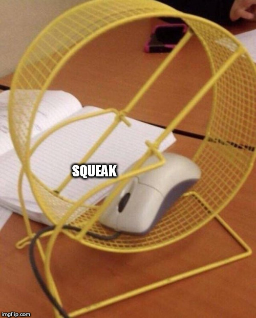 Squeak | SQUEAK | image tagged in squeak | made w/ Imgflip meme maker