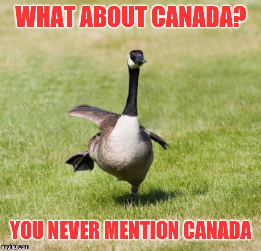 canada goose | WHAT ABOUT CANADA? YOU NEVER MENTION CANADA | image tagged in canada goose | made w/ Imgflip meme maker