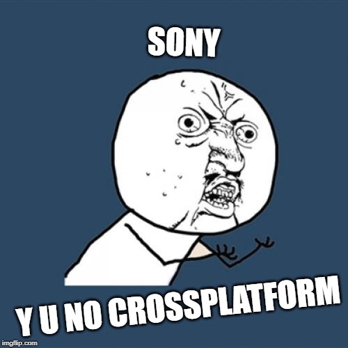 Y U No | SONY; Y U NO CROSSPLATFORM | image tagged in memes,y u no | made w/ Imgflip meme maker