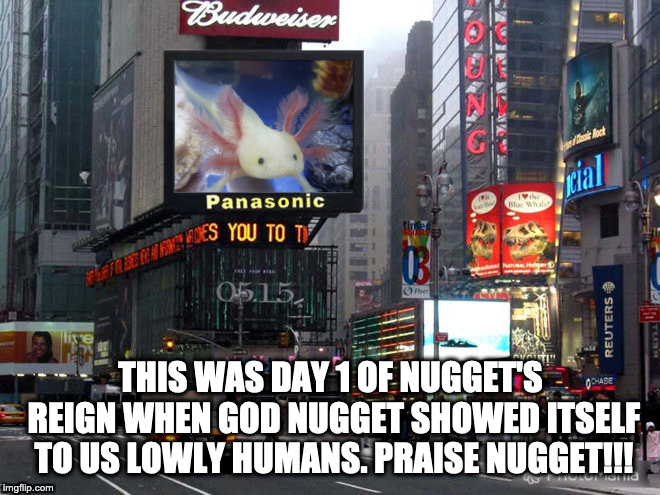 NUGGET! | THIS WAS DAY 1 OF NUGGET'S REIGN WHEN GOD NUGGET SHOWED ITSELF TO US LOWLY HUMANS. PRAISE NUGGET!!! | image tagged in praise,nugget,holy whiskers,bishop gates | made w/ Imgflip meme maker