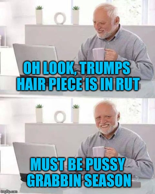 Hide the Pain Harold Meme | OH LOOK, TRUMPS HAIR PIECE IS IN RUT MUST BE PUSSY GRABBIN SEASON | image tagged in memes,hide the pain harold | made w/ Imgflip meme maker