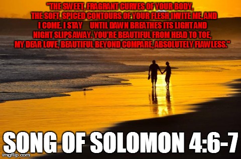 "THE SWEET, FRAGRANT CURVES OF YOUR BODY,
    THE SOFT, SPICED CONTOURS OF YOUR FLESH
INVITE ME, AND I COME. I STAY
    UNTIL DAWN BREATHES  | image tagged in song of solomon 2 | made w/ Imgflip meme maker