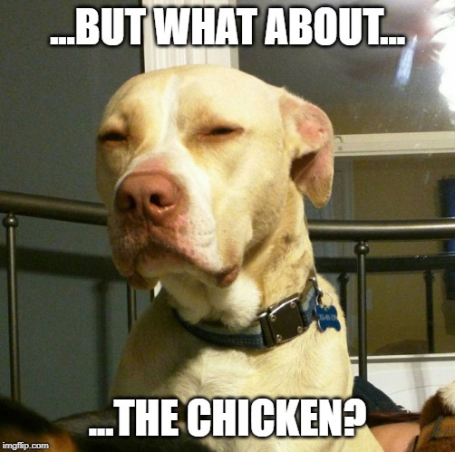 Suspicious Dog | ...BUT WHAT ABOUT... ...THE CHICKEN? | image tagged in suspicious dog | made w/ Imgflip meme maker
