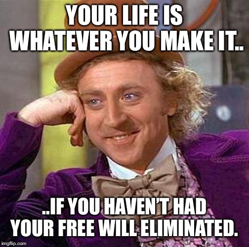 Creepy Condescending Wonka | YOUR LIFE IS WHATEVER YOU MAKE IT.. ..IF YOU HAVEN’T HAD YOUR FREE WILL ELIMINATED. | image tagged in memes,creepy condescending wonka | made w/ Imgflip meme maker