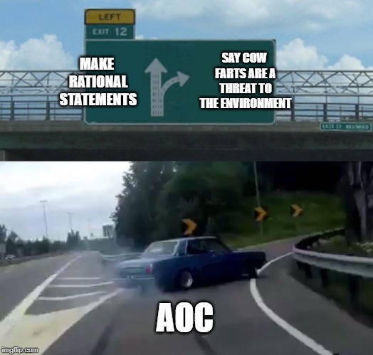 Left Exit 12 Off Ramp Meme | MAKE RATIONAL STATEMENTS SAY COW FARTS ARE A THREAT TO THE ENVIRONMENT AOC | image tagged in memes,left exit 12 off ramp | made w/ Imgflip meme maker