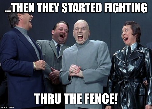 Laughing Villains Meme | ...THEN THEY STARTED FIGHTING THRU THE FENCE! | image tagged in memes,laughing villains | made w/ Imgflip meme maker