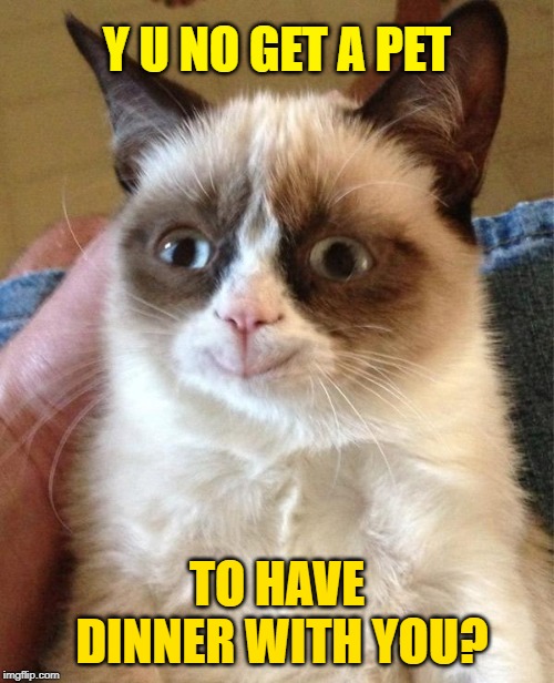 Grumpy Cat Happy Meme | Y U NO GET A PET TO HAVE DINNER WITH YOU? | image tagged in memes,grumpy cat happy,grumpy cat | made w/ Imgflip meme maker