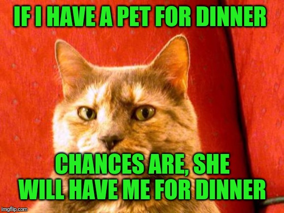 Suspicious Cat Meme | IF I HAVE A PET FOR DINNER CHANCES ARE, SHE WILL HAVE ME FOR DINNER | image tagged in memes,suspicious cat | made w/ Imgflip meme maker