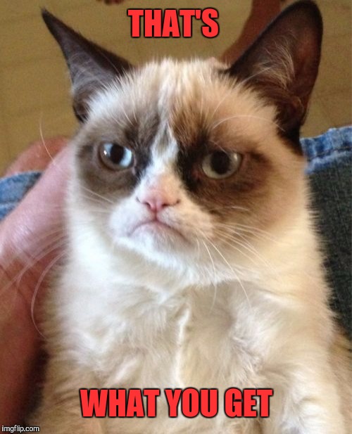 Grumpy Cat Meme | THAT'S WHAT YOU GET | image tagged in memes,grumpy cat | made w/ Imgflip meme maker