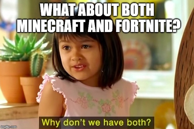 WHAT ABOUT BOTH MINECRAFT AND FORTNITE? | image tagged in why don't we have both | made w/ Imgflip meme maker