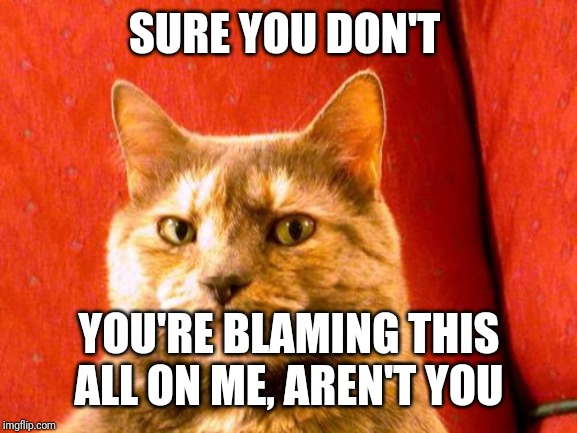 Suspicious Cat Meme | SURE YOU DON'T YOU'RE BLAMING THIS ALL ON ME, AREN'T YOU | image tagged in memes,suspicious cat | made w/ Imgflip meme maker