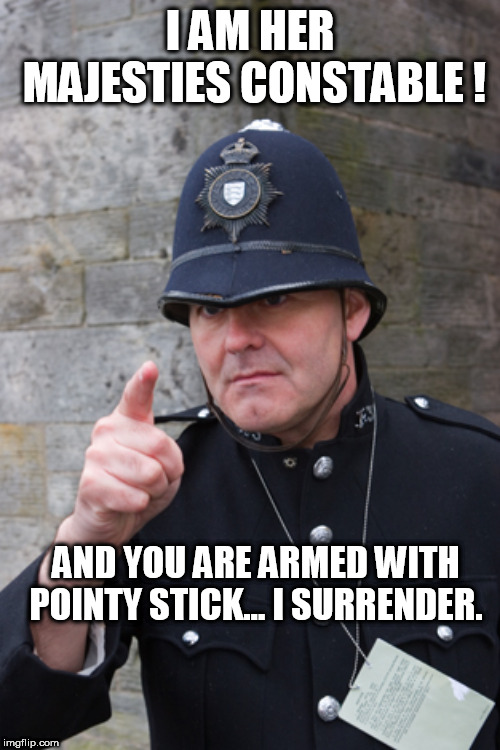english bobby UK | I AM HER MAJESTIES CONSTABLE ! AND YOU ARE ARMED WITH POINTY STICK... I SURRENDER. | image tagged in english bobby uk | made w/ Imgflip meme maker