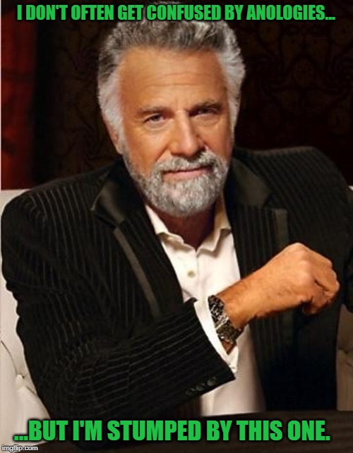 i don't always | I DON'T OFTEN GET CONFUSED BY ANOLOGIES... ...BUT I'M STUMPED BY THIS ONE. | image tagged in i don't always | made w/ Imgflip meme maker
