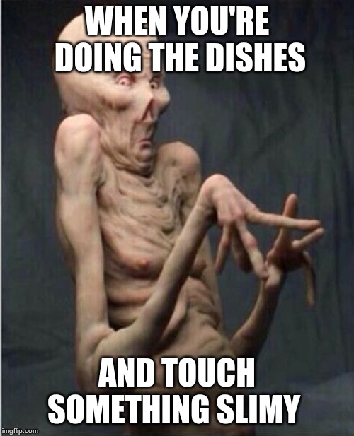 WHEN YOU'RE DOING THE DISHES; AND TOUCH SOMETHING SLIMY | image tagged in memes,aliens | made w/ Imgflip meme maker