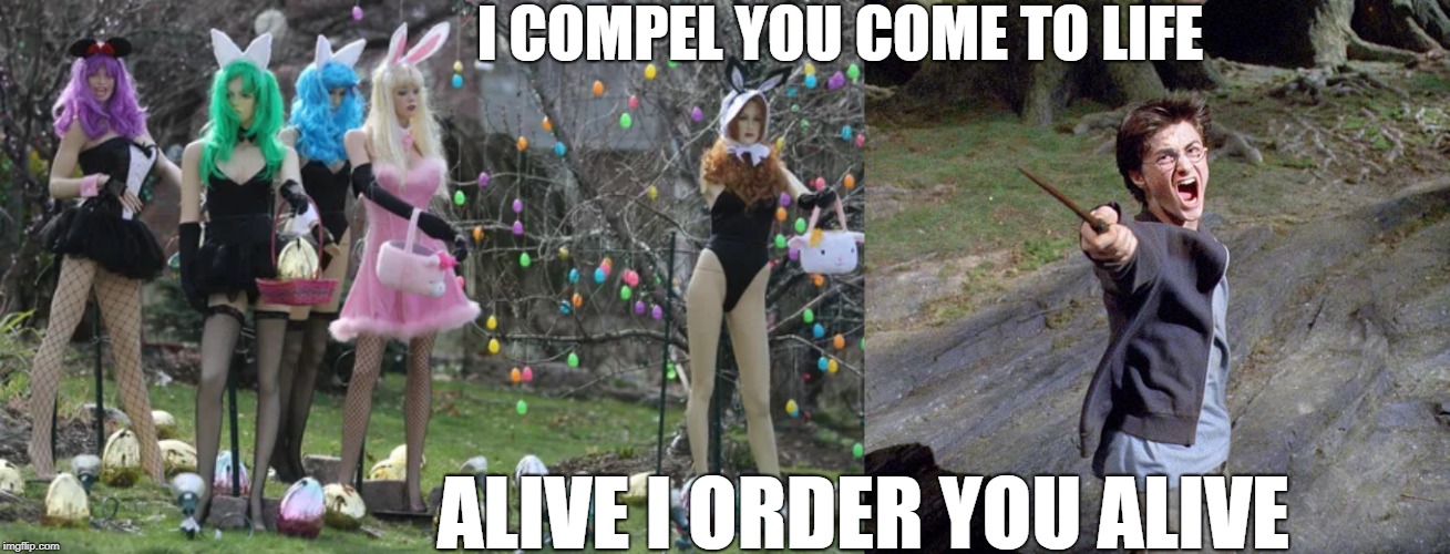 Harry Potter trying to bring some sexy mannequins to life | I COMPEL YOU COME TO LIFE; ALIVE I ORDER YOU ALIVE | image tagged in harry potter,sexy bunny mannequins | made w/ Imgflip meme maker