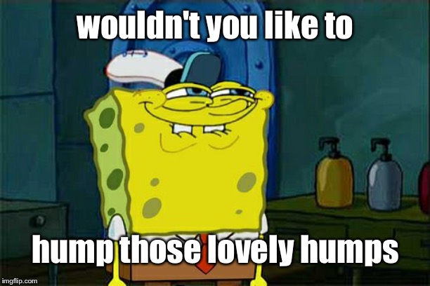 Don't You Squidward Meme | wouldn't you like to hump those lovely humps | image tagged in memes,dont you squidward | made w/ Imgflip meme maker