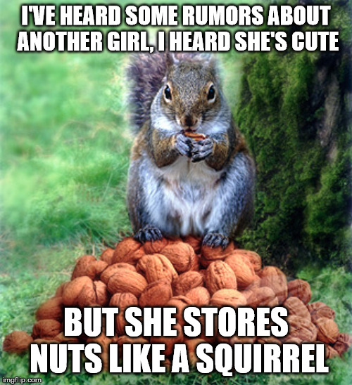 Cheating Girls have no place in this world | I'VE HEARD SOME RUMORS
ABOUT ANOTHER GIRL,
I HEARD SHE'S CUTE; BUT SHE STORES NUTS LIKE A SQUIRREL | image tagged in cheaters,divorce,cheating husband | made w/ Imgflip meme maker