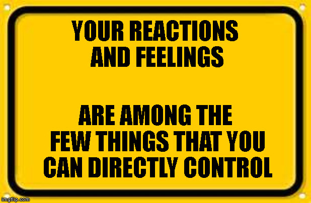 Blank Yellow Sign Meme | YOUR REACTIONS AND FEELINGS; ARE AMONG THE FEW THINGS THAT YOU CAN DIRECTLY CONTROL | image tagged in memes,blank yellow sign | made w/ Imgflip meme maker
