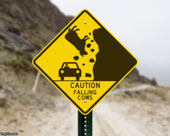 Holy cow! | image tagged in holy crap,cow,traffic sign | made w/ Imgflip meme maker