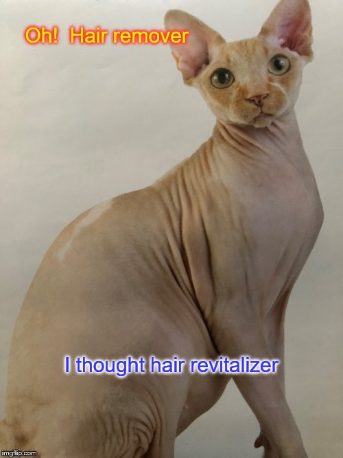 Oh!  Hair remover; I thought hair revitalizer | image tagged in skinny cat | made w/ Imgflip meme maker