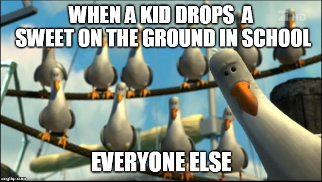 Nemo Seagulls Mine | WHEN A KID DROPS  A SWEET ON THE GROUND IN SCHOOL; EVERYONE ELSE | image tagged in nemo seagulls mine | made w/ Imgflip meme maker