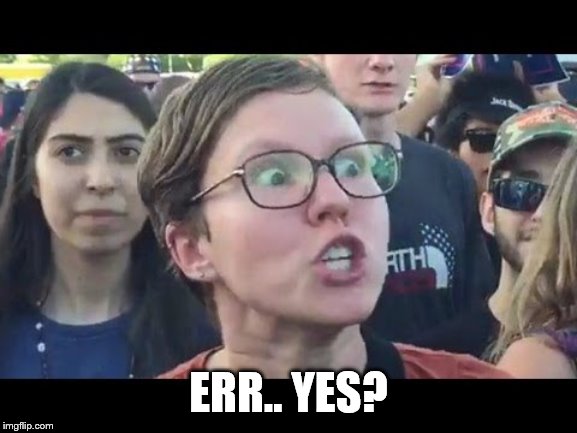 Angry sjw | ERR.. YES? | image tagged in angry sjw | made w/ Imgflip meme maker