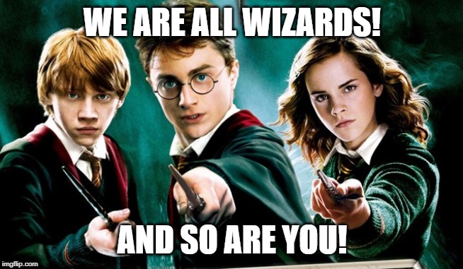 harry potter, hermione granger and ron weasly | WE ARE ALL WIZARDS! AND SO ARE YOU! | image tagged in harry potter | made w/ Imgflip meme maker