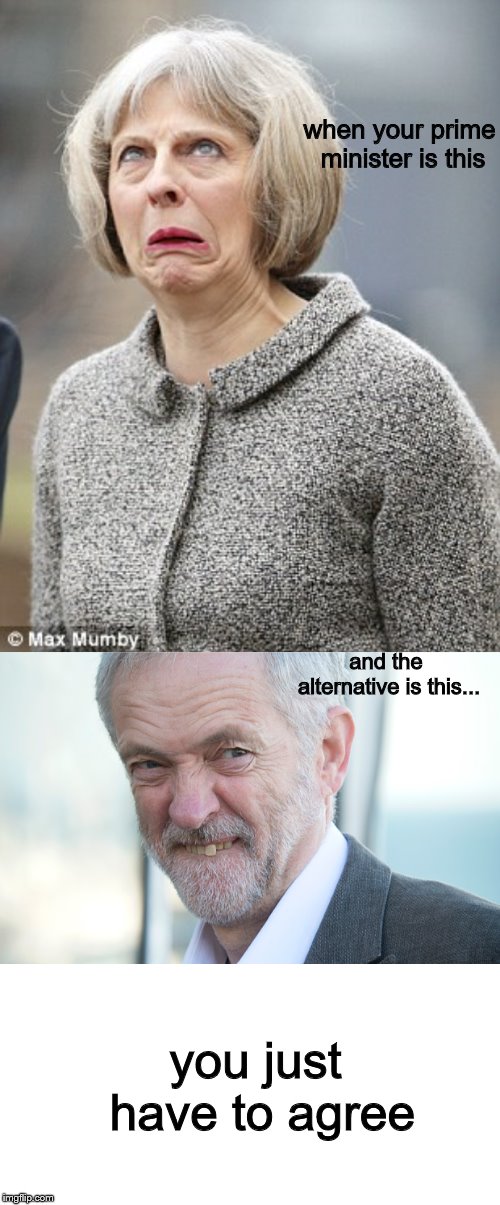 when your prime minister is this and the alternative is this... you just have to agree | image tagged in jeremy corbyn,theresa may | made w/ Imgflip meme maker