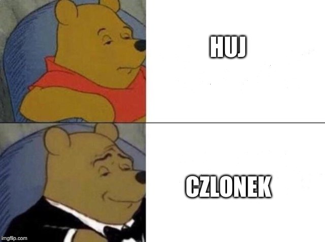Tuxedo Winnie The Pooh Meme | HUJ; CZLONEK | image tagged in tuxedo winnie the pooh | made w/ Imgflip meme maker