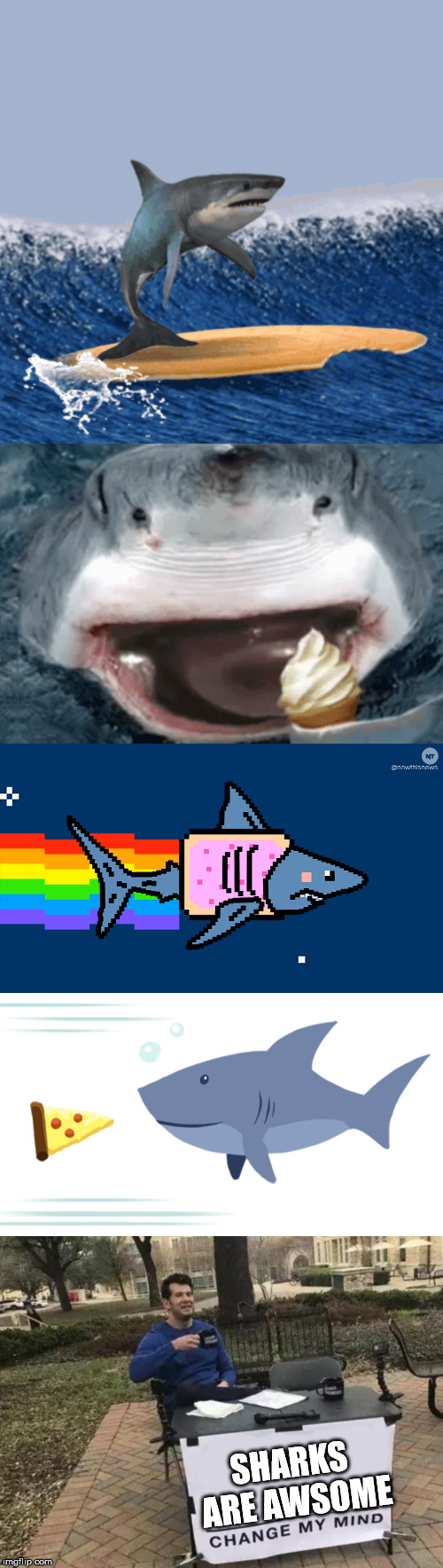SHARKS ARE AWSOME | image tagged in memes,change my mind | made w/ Imgflip meme maker