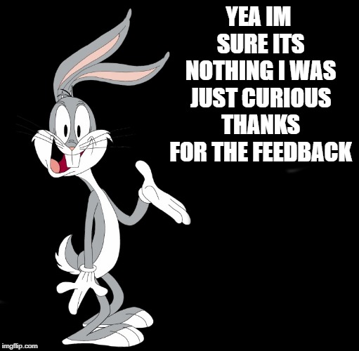 joke bunny | YEA IM SURE ITS NOTHING I WAS JUST CURIOUS THANKS FOR THE FEEDBACK | image tagged in joke bunny | made w/ Imgflip meme maker