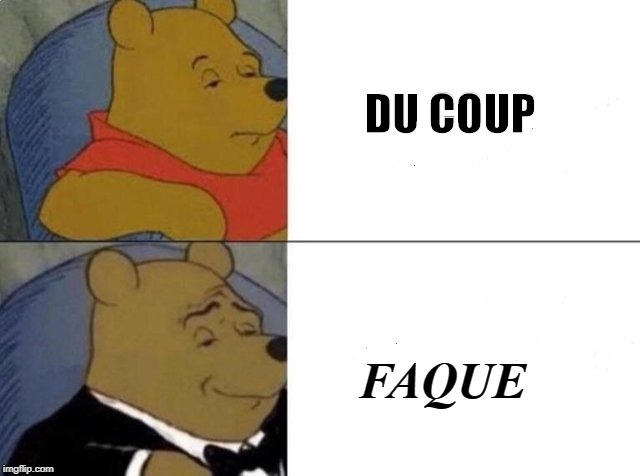 Tuxedo Winnie The Pooh Meme | DU COUP; FAQUE | image tagged in tuxedo winnie the pooh | made w/ Imgflip meme maker