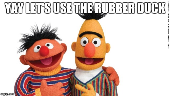 bert and ernie | YAY LET'S USE THE RUBBER DUCK | image tagged in bert and ernie | made w/ Imgflip meme maker