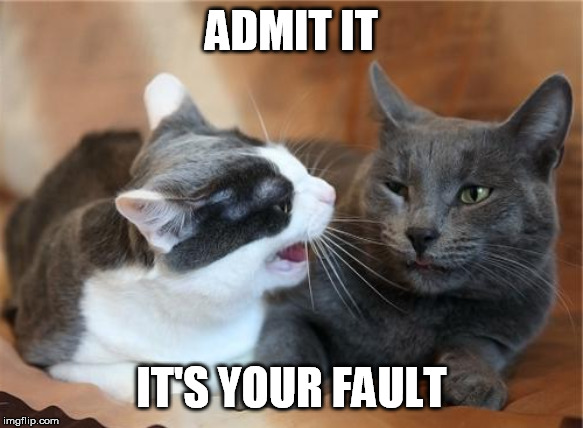 ADMIT IT IT'S YOUR FAULT | made w/ Imgflip meme maker