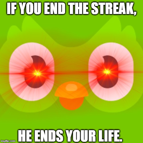Duolingo | IF YOU END THE STREAK, HE ENDS YOUR LIFE. | image tagged in who would win | made w/ Imgflip meme maker